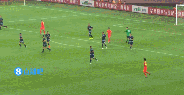 bete branca planta bete branca planta